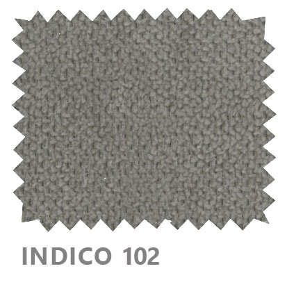 Indico 102